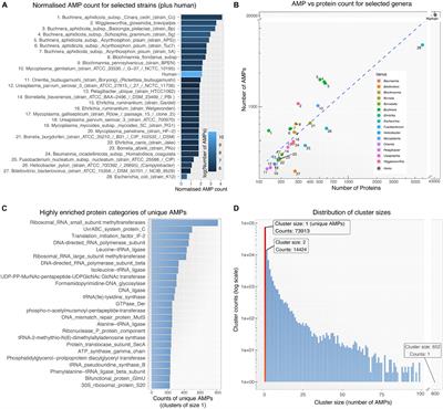 Putative Antimicrobial Peptides Within Bacterial Proteomes Affect Bacterial Predominance: A Network Analysis Perspective